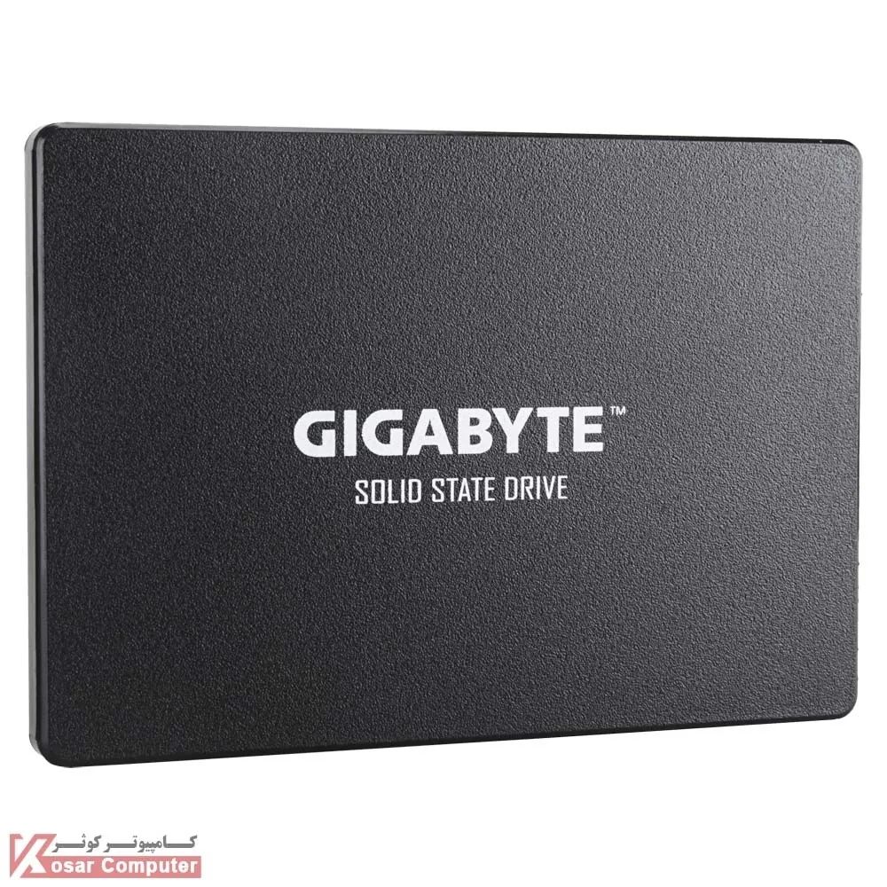 اس اس دی گیگابایت 256 گیگابایت