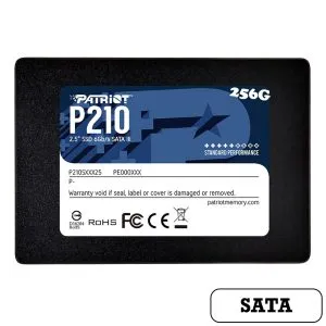 PATRIOT-P210-256G