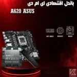 bundle-AMD