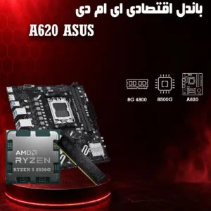 bundle-AMD